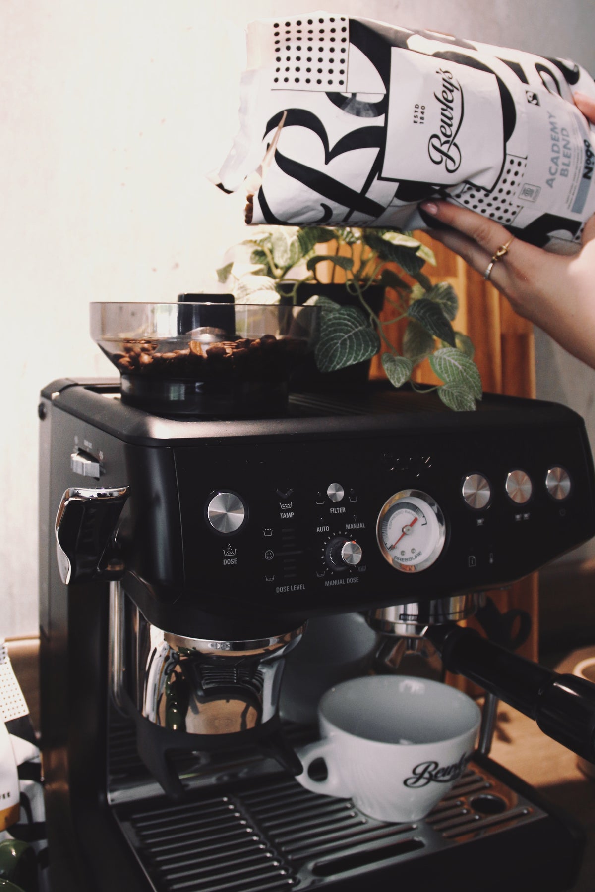 Bewley's Home Barista Course - Bewley's Tea & Coffee